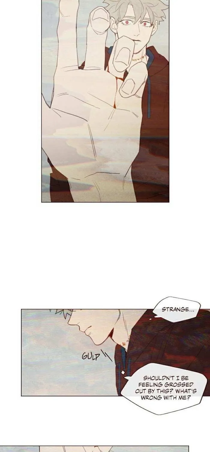 Fate Makes No Mistakes Chapter 61 page 19 - 