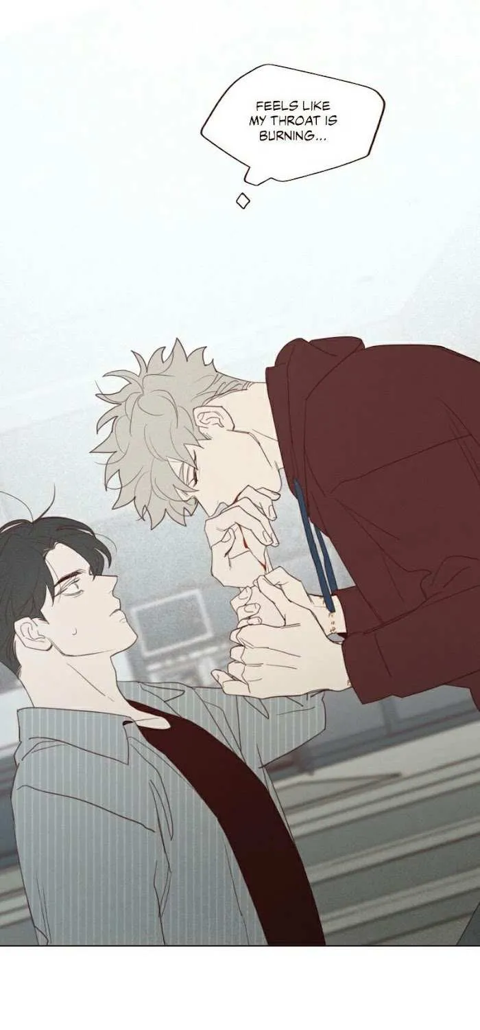 Fate Makes No Mistakes Chapter 61 page 21 - 