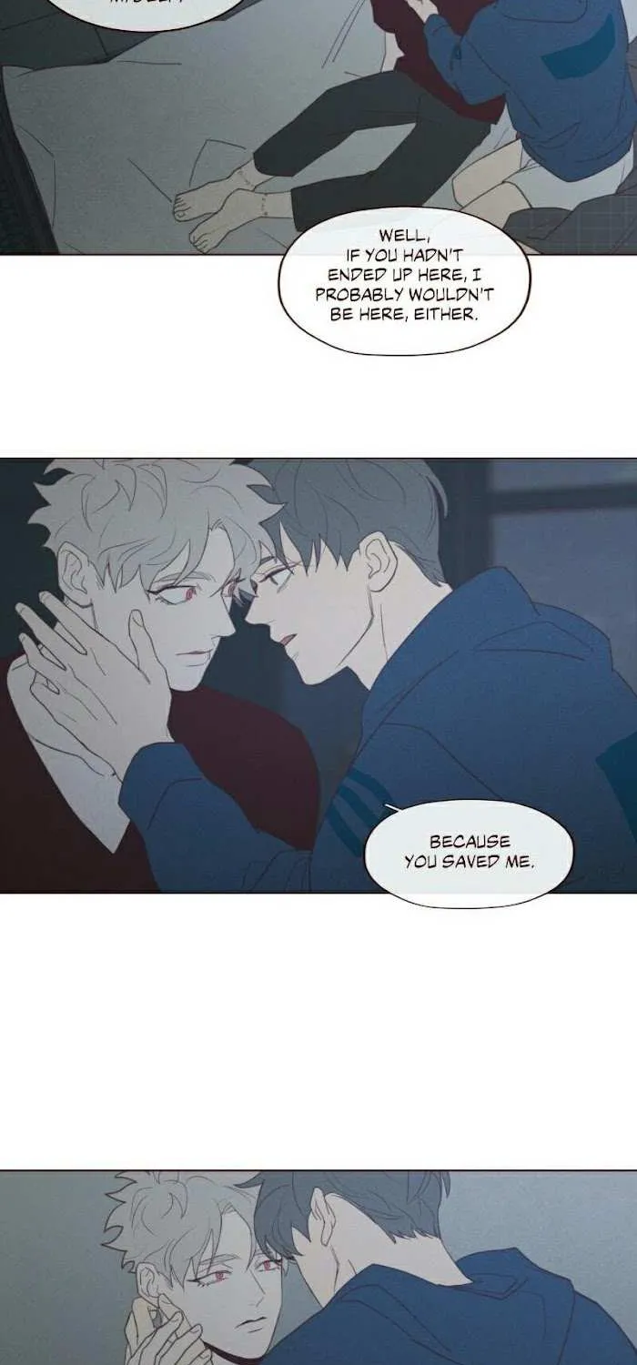 Fate Makes No Mistakes Chapter 62 page 16 - 