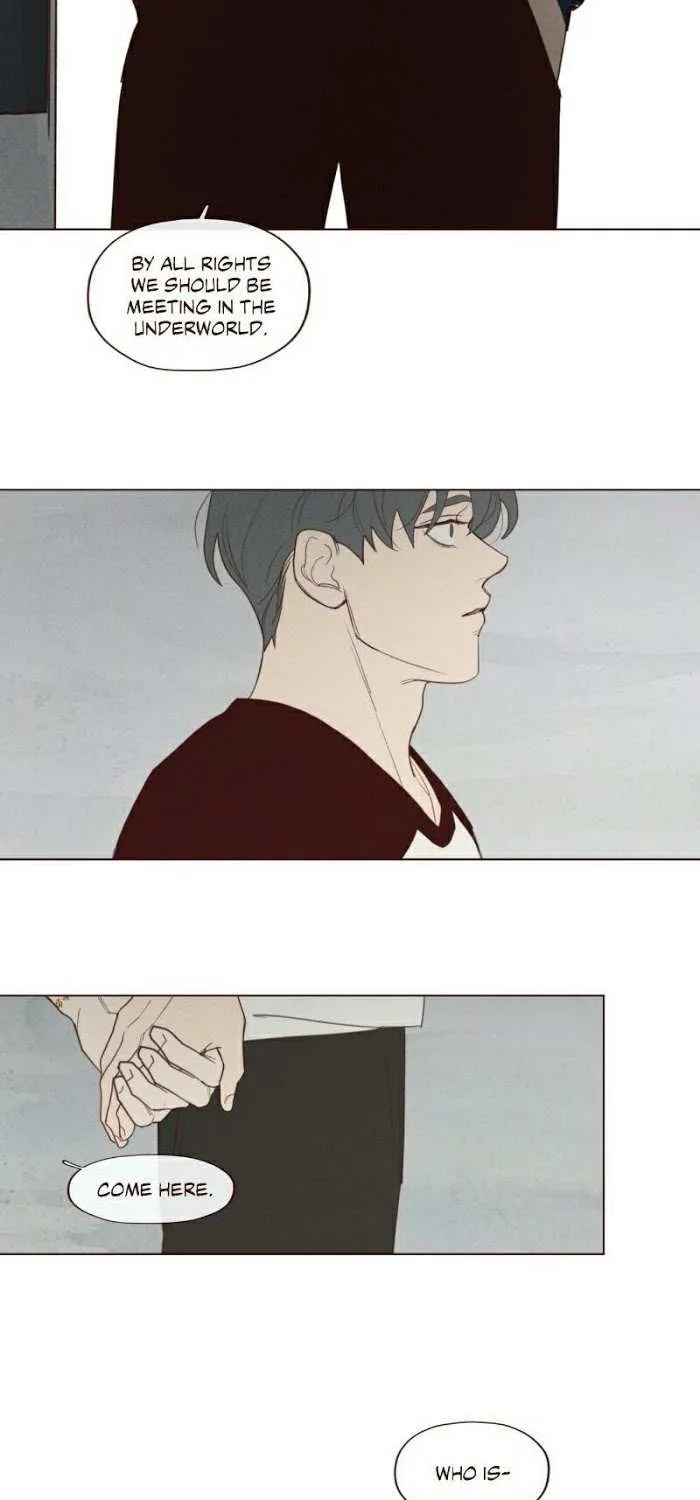 Fate Makes No Mistakes Chapter 66 page 32 - 