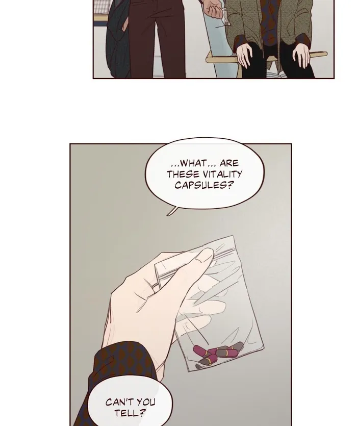 Fate Makes No Mistakes Chapter 7 page 24 - 