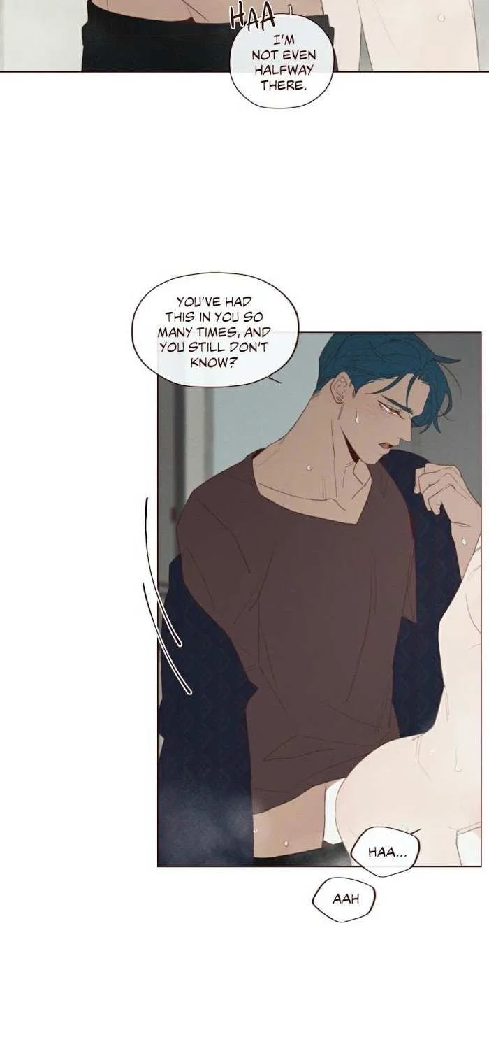 Fate Makes No Mistakes Chapter 70 page 14 - 