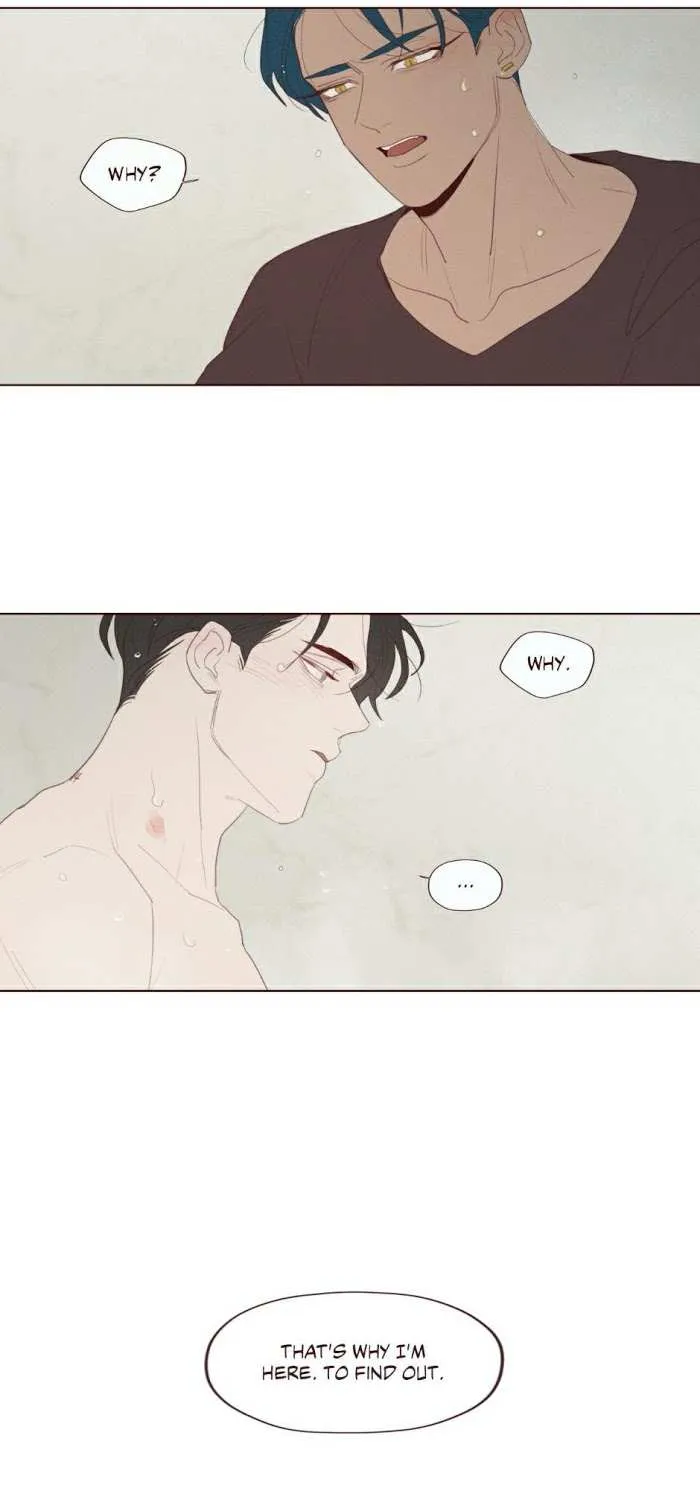 Fate Makes No Mistakes Chapter 70 page 31 - 
