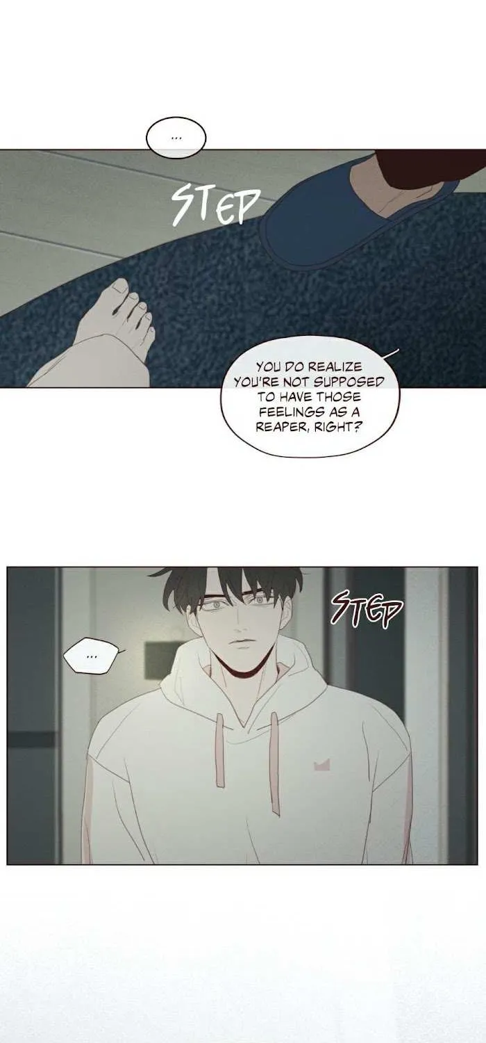 Fate Makes No Mistakes Chapter 71 page 13 - 
