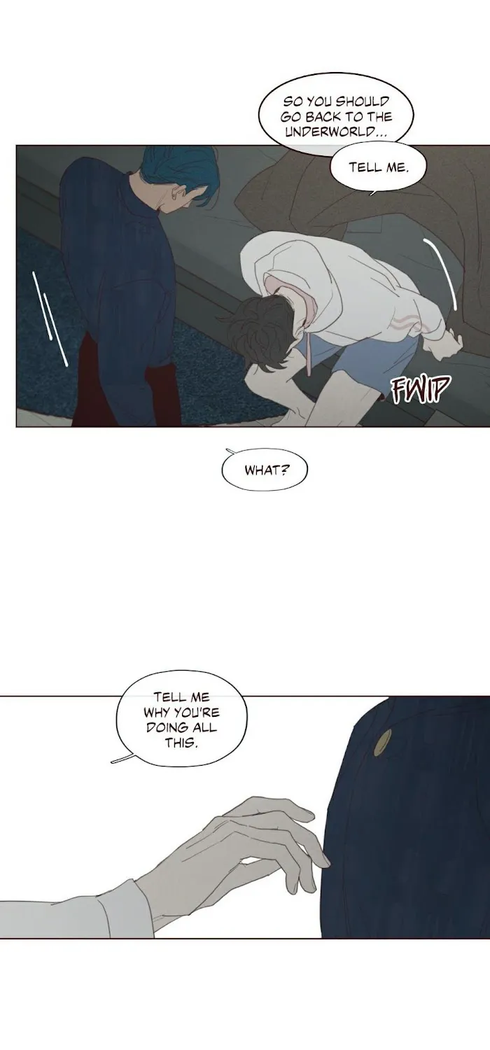 Fate Makes No Mistakes Chapter 71 page 21 - 