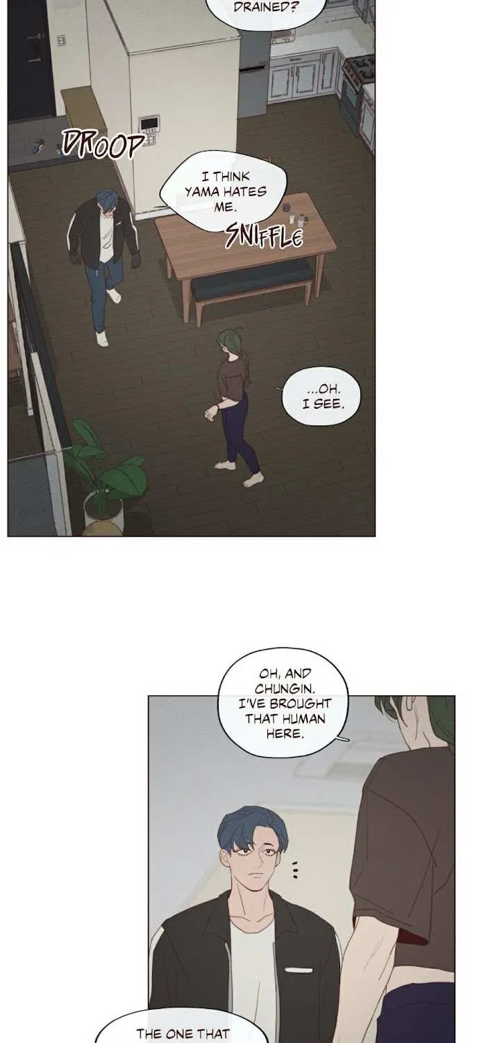 Fate Makes No Mistakes Chapter 71 page 27 - 