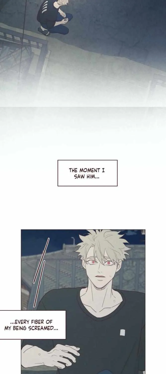 Fate Makes No Mistakes Chapter 74.2 page 3 - 