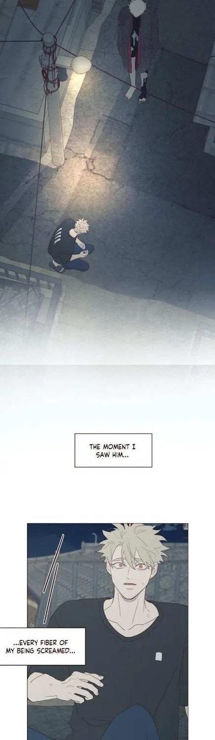 Fate Makes No Mistakes Chapter 74 page 2 - 