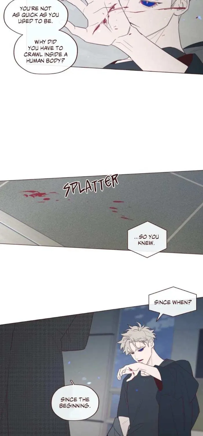 Fate Makes No Mistakes Chapter 74 page 26 - 