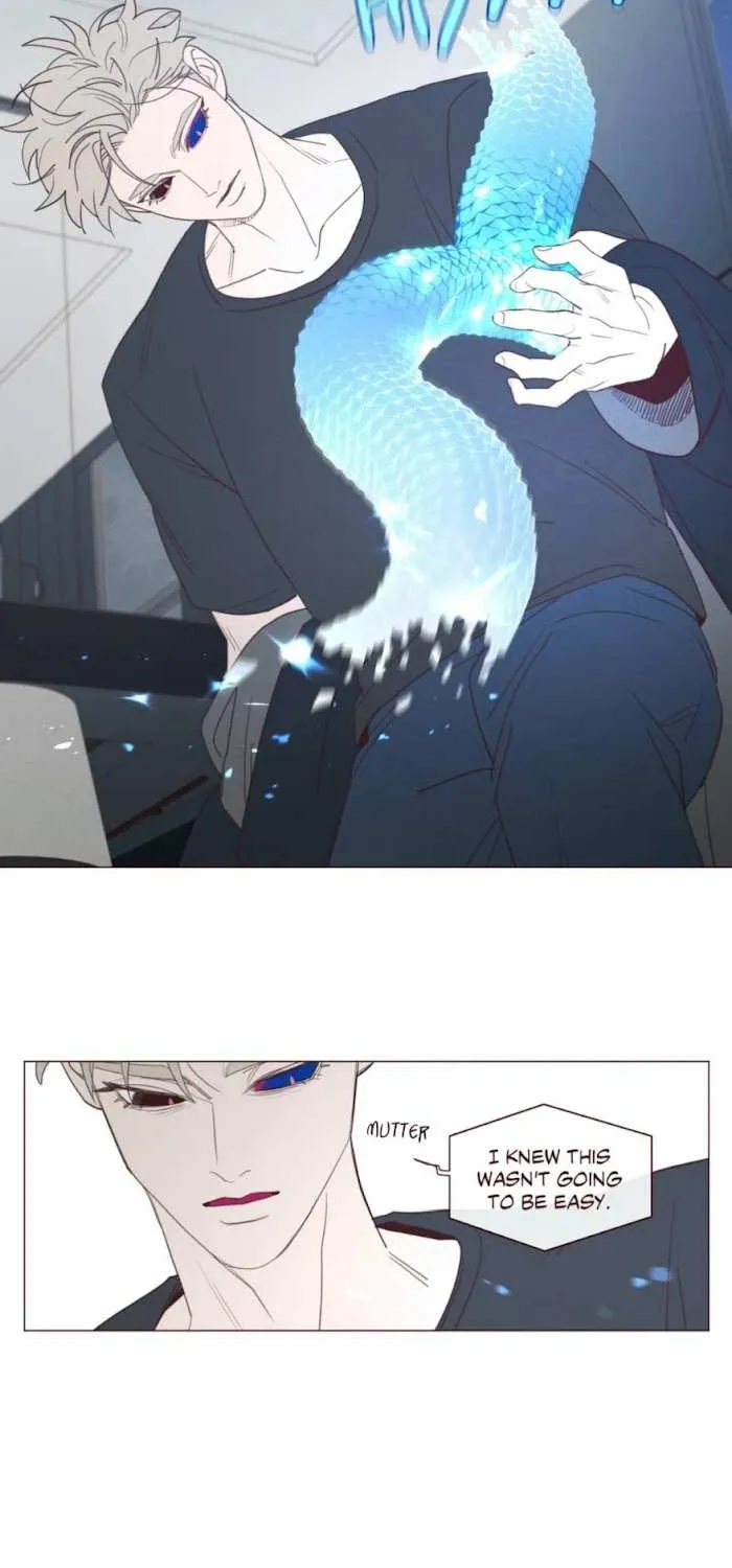 Fate Makes No Mistakes Chapter 74 page 29 - 