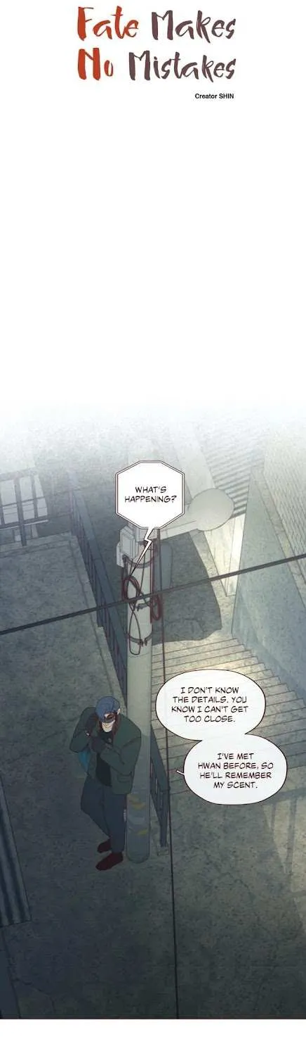 Fate Makes No Mistakes Chapter 74 page 5 - 