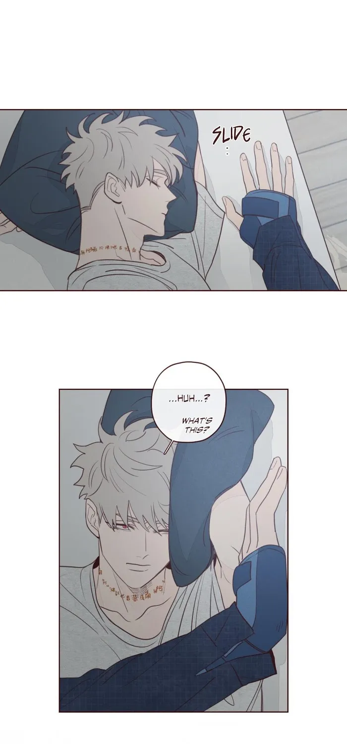 Fate Makes No Mistakes Chapter 8 page 41 - 
