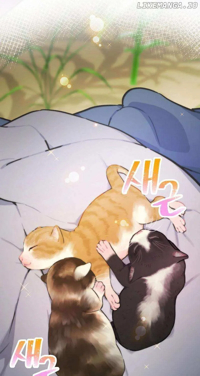 Feeding the Lives of Failing Idols Chapter 45 page 62 - 