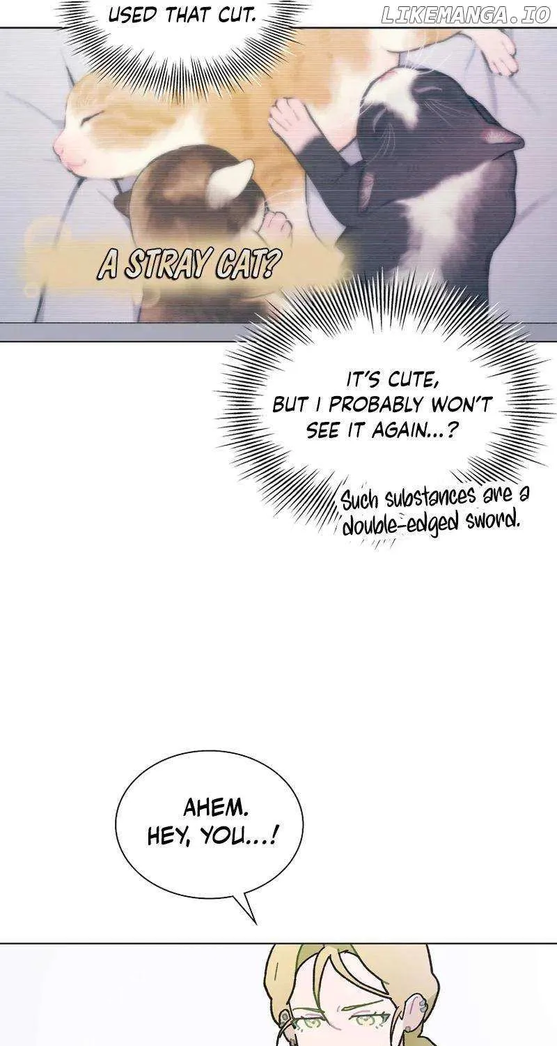 Feeding the Lives of Failing Idols Chapter 47 page 67 - 