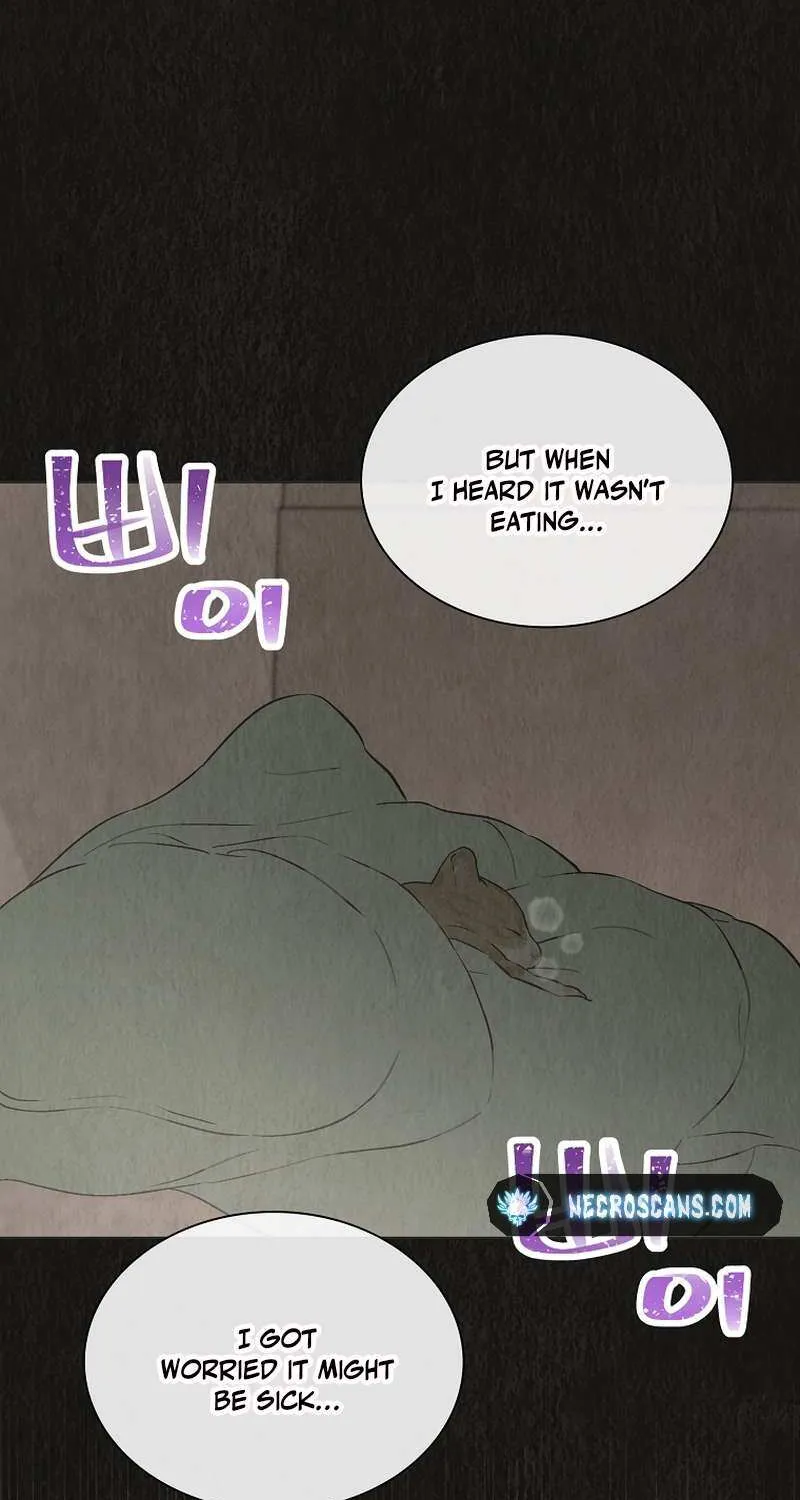 Feeding the Lives of Failing Idols Chapter 52 page 39 - 