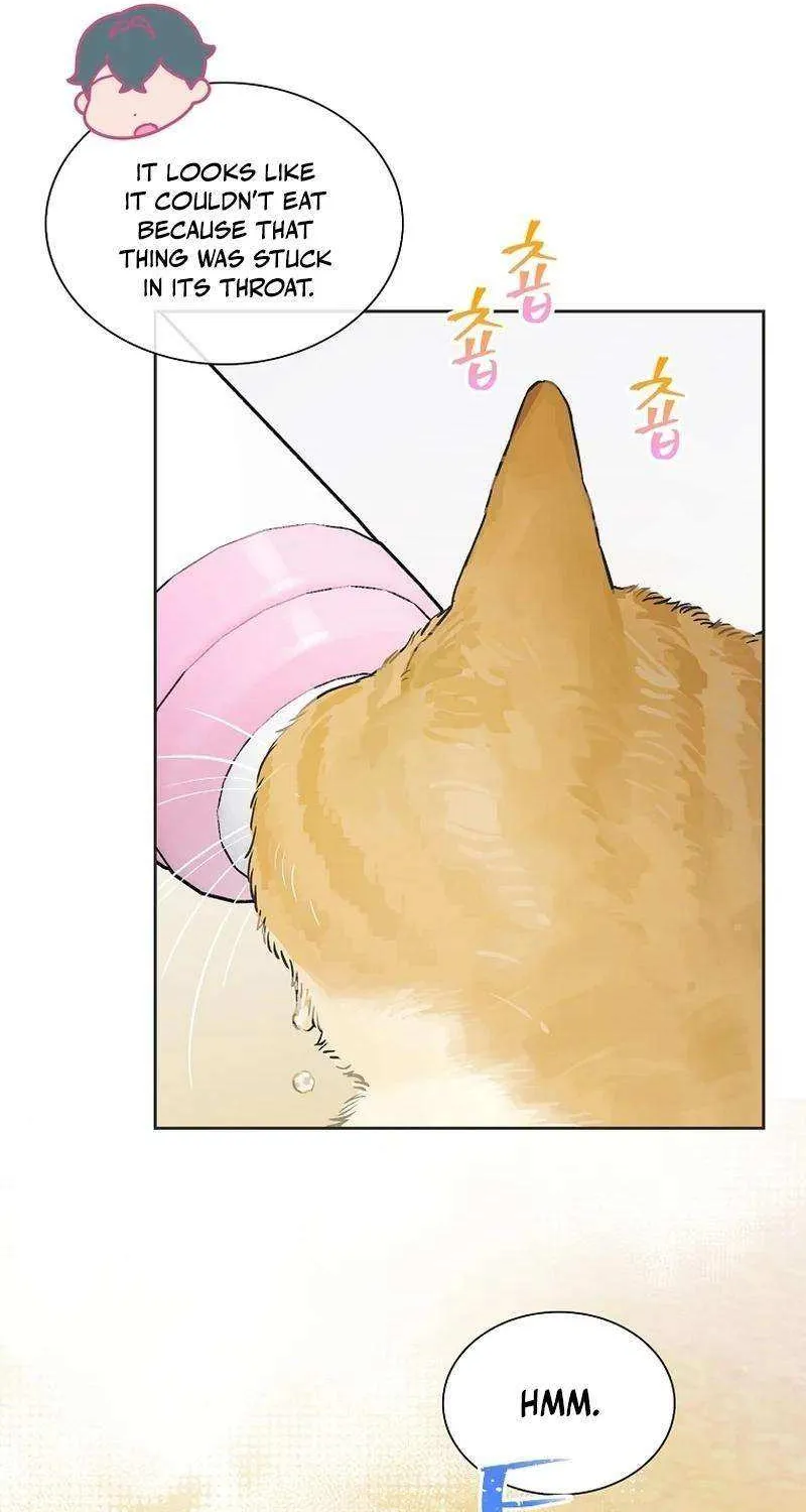 Feeding the Lives of Failing Idols Chapter 53 page 32 - 