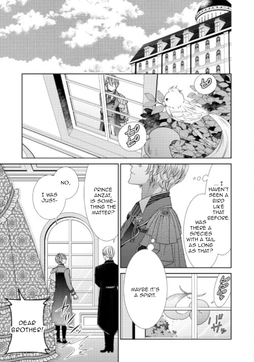 Fiancée’S Observation Log Of The Self-Proclaimed Villainess Chapter 33 page 29 - 