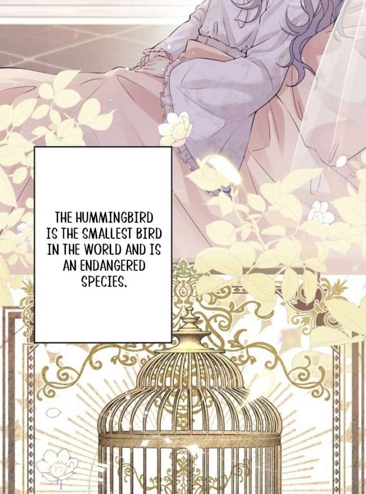 Final Boss’s Daughter Refuses Fate Of Death Chapter 1 page 6 - 
