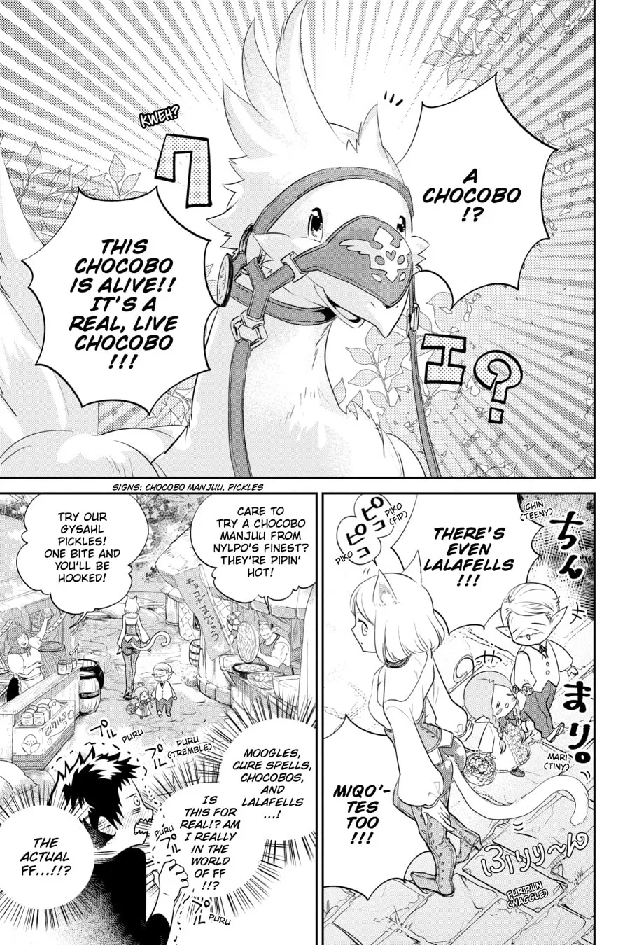 Final Fantasy Lost Stranger Chapter 1 page 23 - 