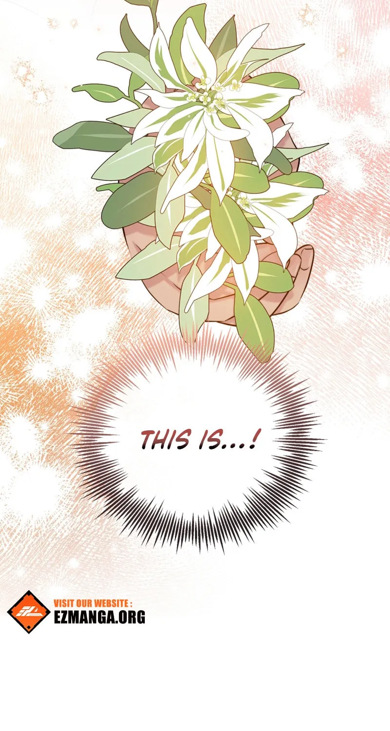 Finally, the Dawn Came Chapter 13 page 101 - 