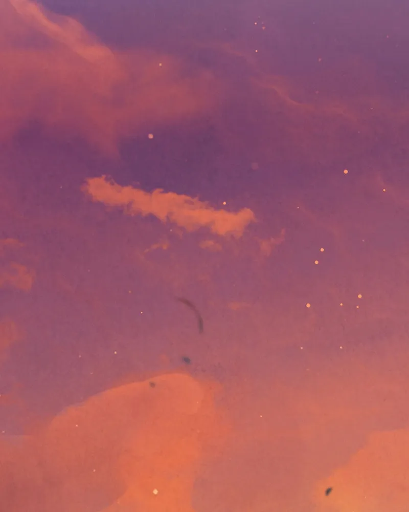 Finally, the Dawn Came Chapter 13 page 7 - 