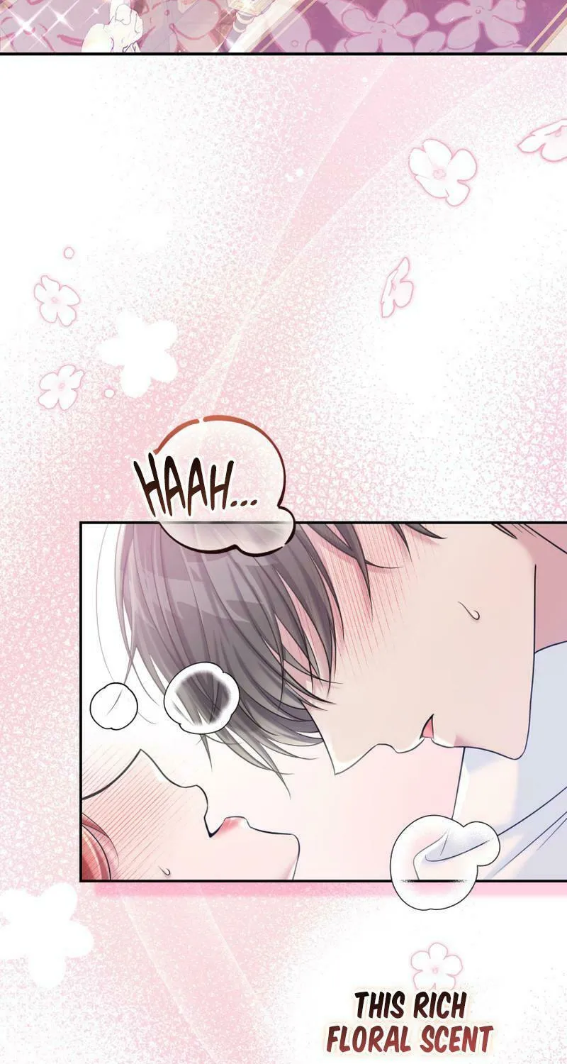 Finally, the Dawn Came Chapter 19 page 42 - 