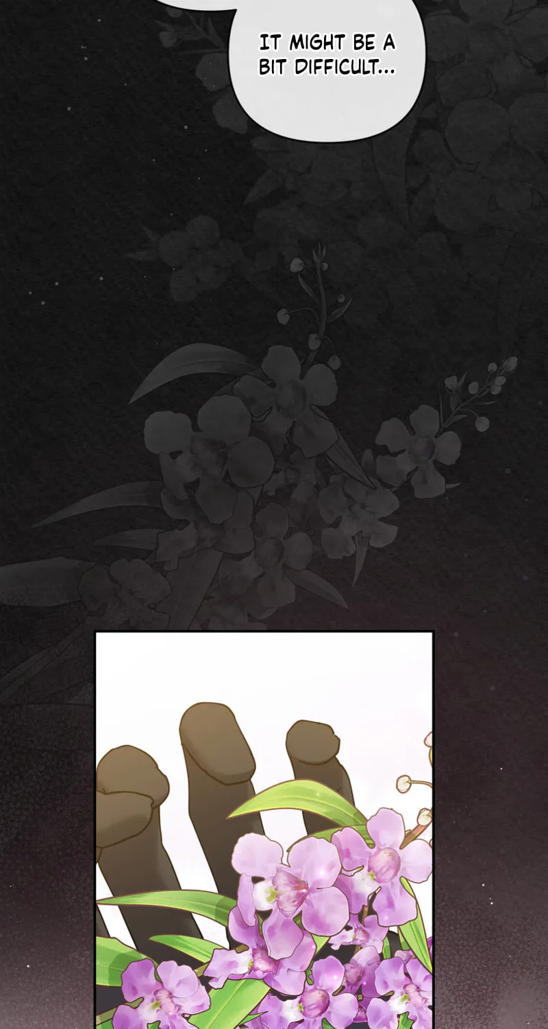 Finally, the Dawn Came Chapter 25 page 67 - 