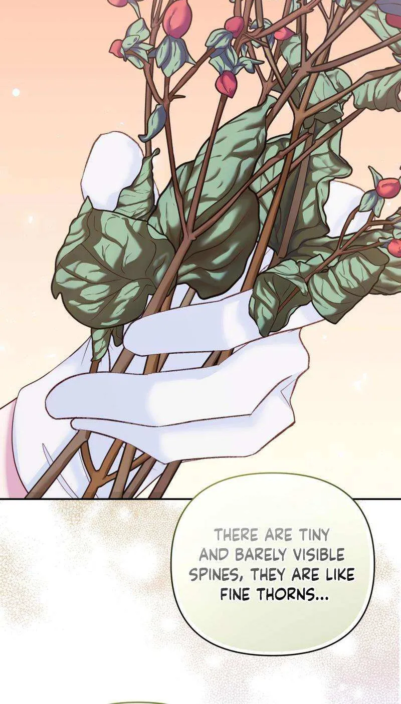 Finally, the Dawn Came Chapter 29 page 29 - 