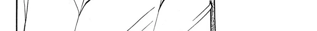 Fire-Hot Aunt Chapter 35 page 76 - 
