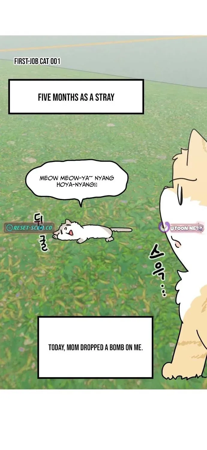 First-Job Cat Chapter 1 page 2 - 