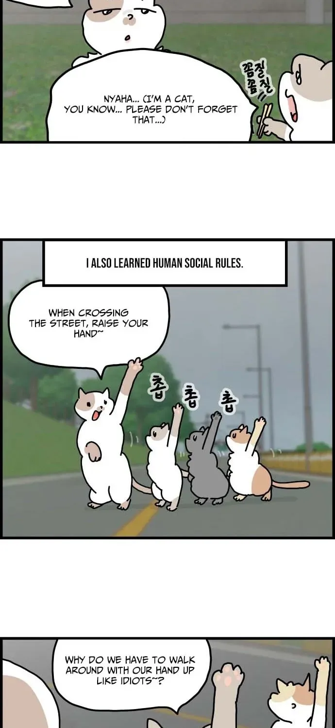 First-Job Cat Chapter 1 page 11 - 