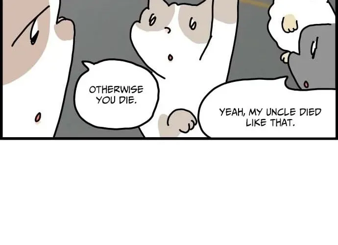 First-Job Cat Chapter 1 page 12 - 