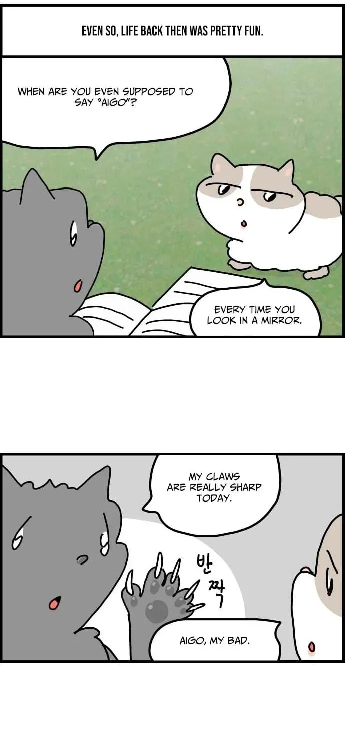First-Job Cat Chapter 1 page 13 - 