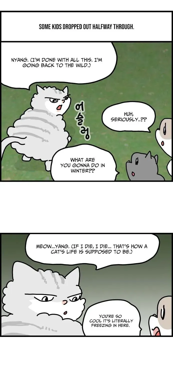 First-Job Cat Chapter 1 page 14 - 