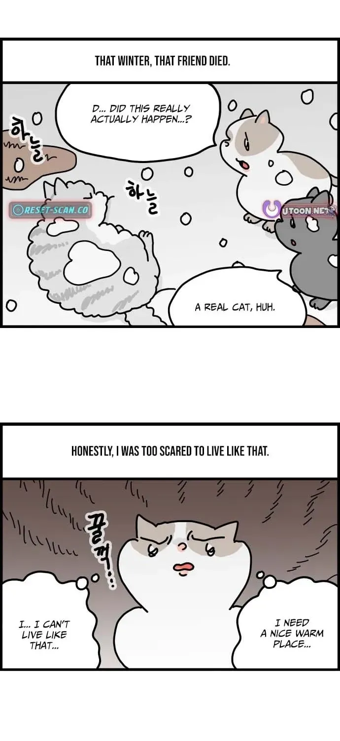 First-Job Cat Chapter 1 page 15 - 
