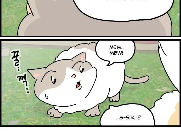 First-Job Cat Chapter 1 page 20 - 