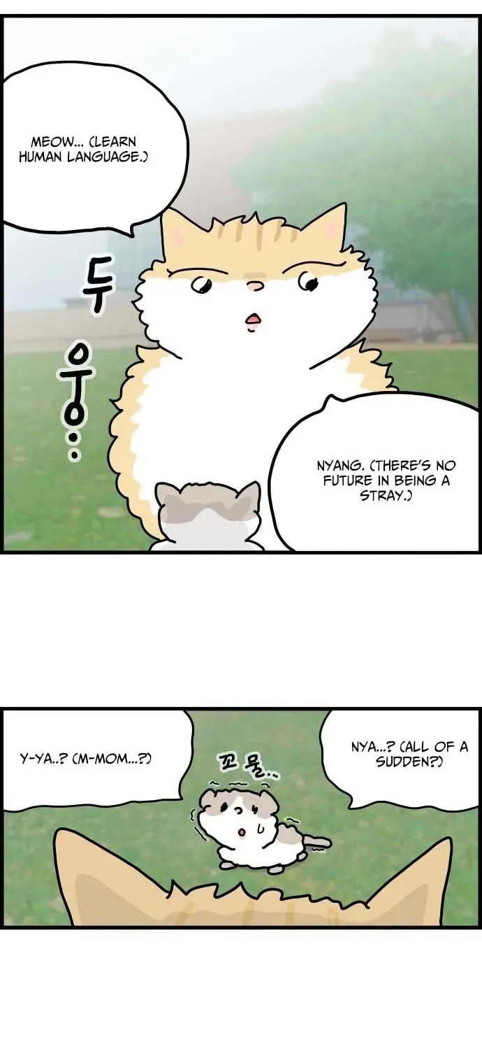 First-Job Cat Chapter 1 page 3 - 