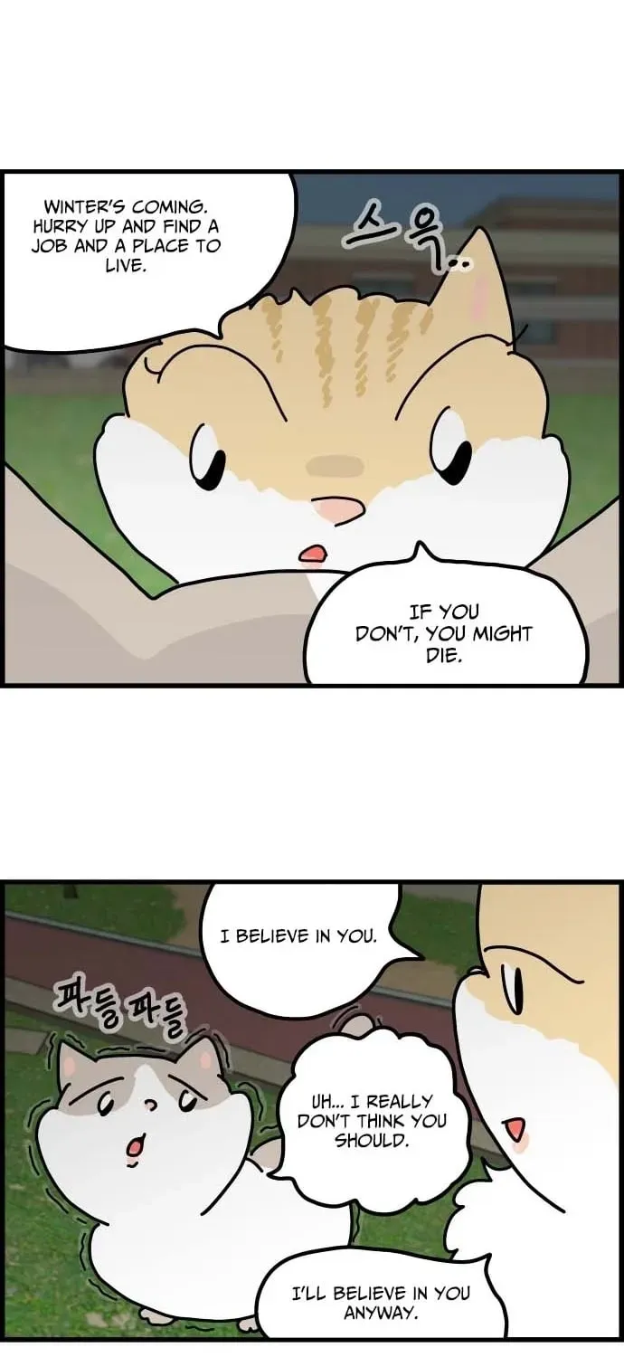 First-Job Cat Chapter 1 page 21 - 