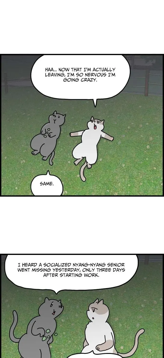 First-Job Cat Chapter 1 page 22 - 