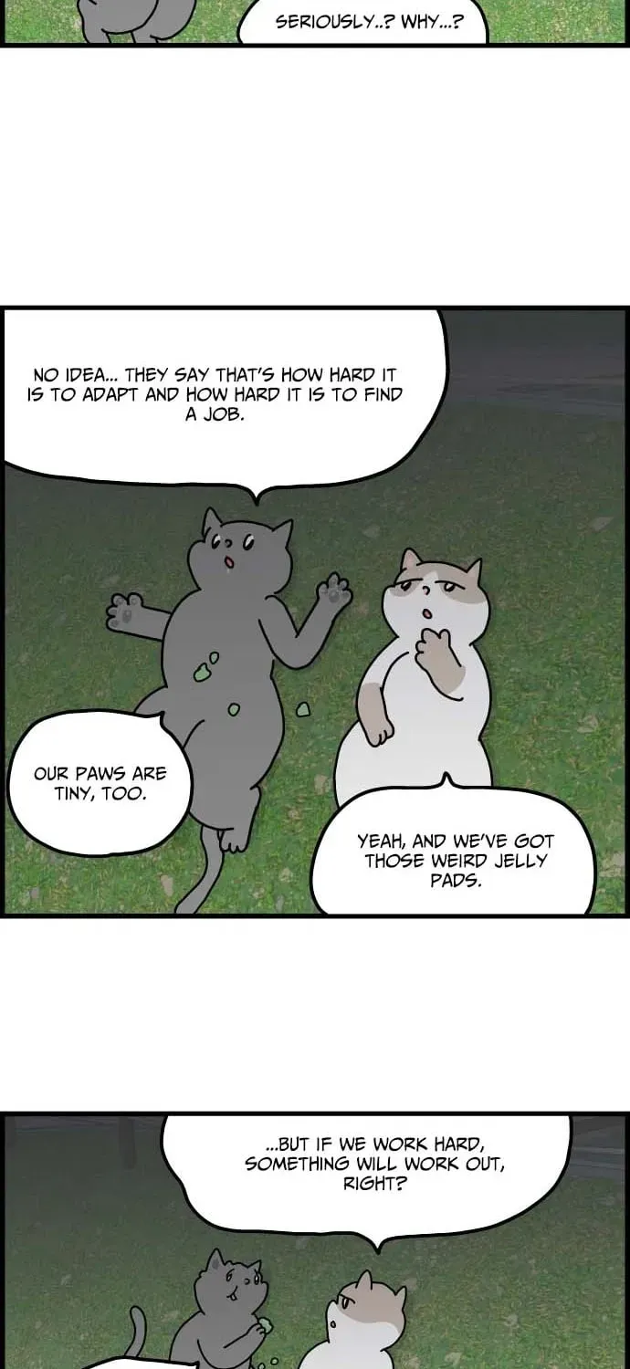 First-Job Cat Chapter 1 page 23 - 
