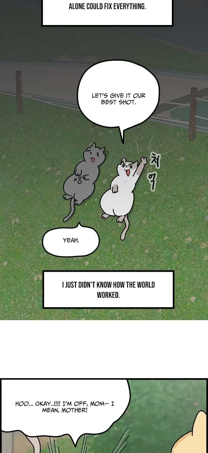First-Job Cat Chapter 1 page 25 - 