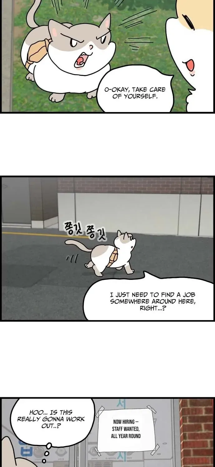 First-Job Cat Chapter 1 page 26 - 