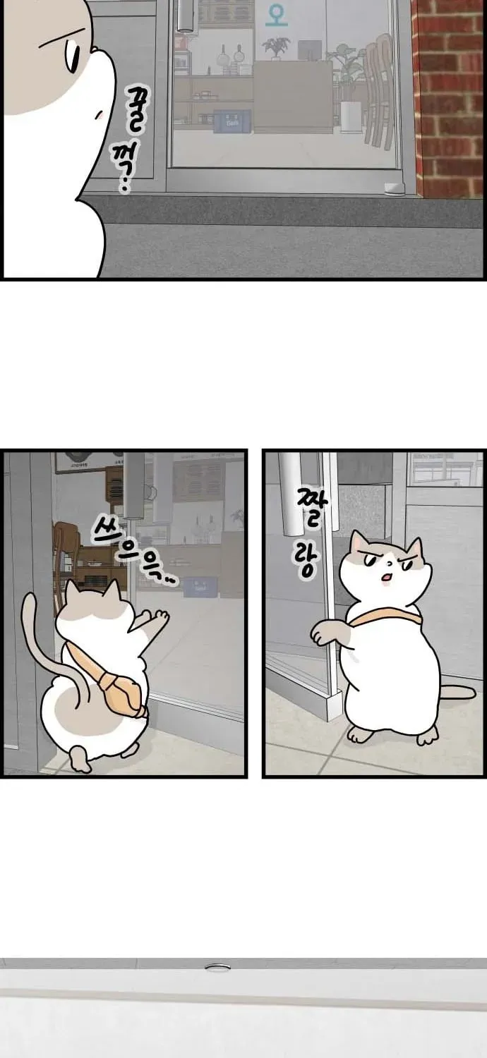 First-Job Cat Chapter 1 page 27 - 