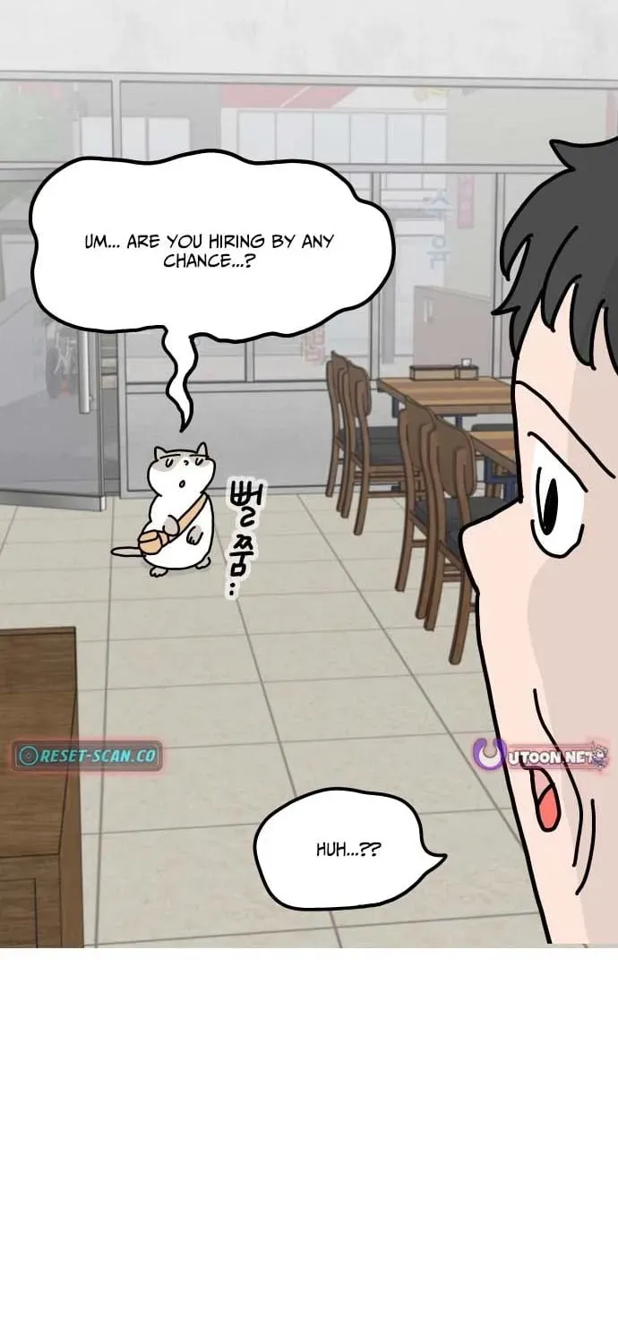 First-Job Cat Chapter 1 page 28 - 