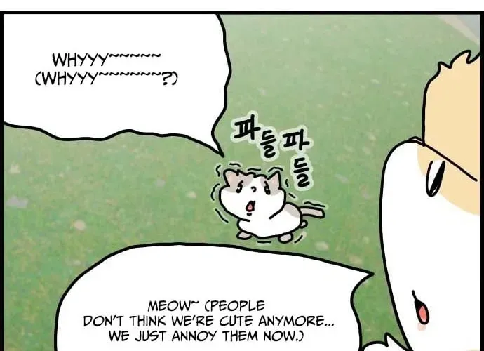 First-Job Cat Chapter 1 page 4 - 