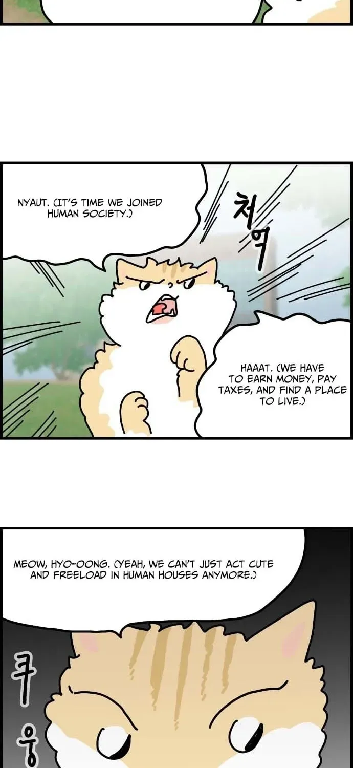 First-Job Cat Chapter 1 page 5 - 