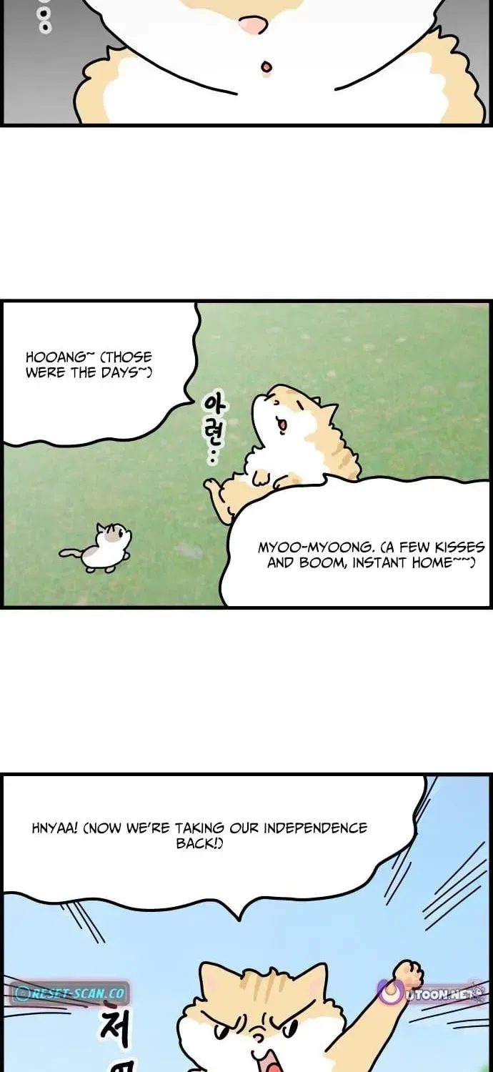 First-Job Cat Chapter 1 page 6 - 