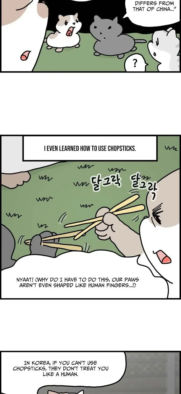 First-Job Cat Chapter 1 page 10 - 