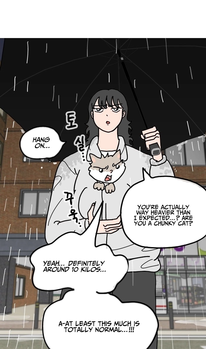 First-Job Cat Chapter 10 page 13 - 