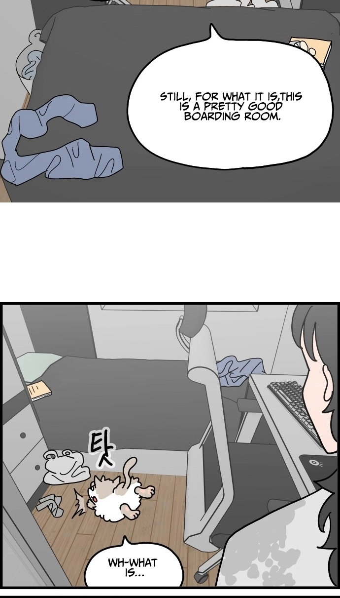 First-Job Cat Chapter 10 page 20 - 